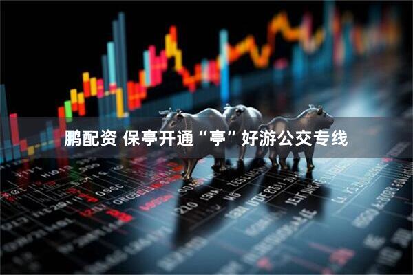 鹏配资 保亭开通“亭”好游公交专线