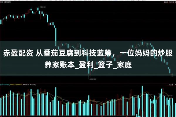 赤盈配资 从番茄豆腐到科技蓝筹，一位妈妈的炒股养家账本_盈利_篮子_家庭